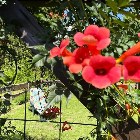 Appartement Reingehuscht